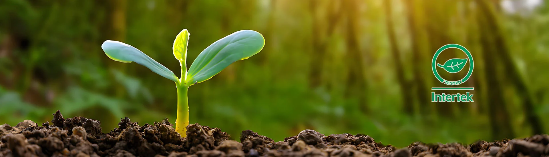 Unser Bio-Abbau Sonnenschutzmittel
